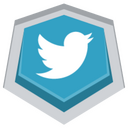 Twitter,logo Icon