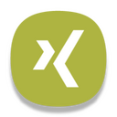 Xingv,logo Icon