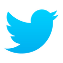 Twitter,logo Icon