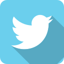 Twitter logo Icon