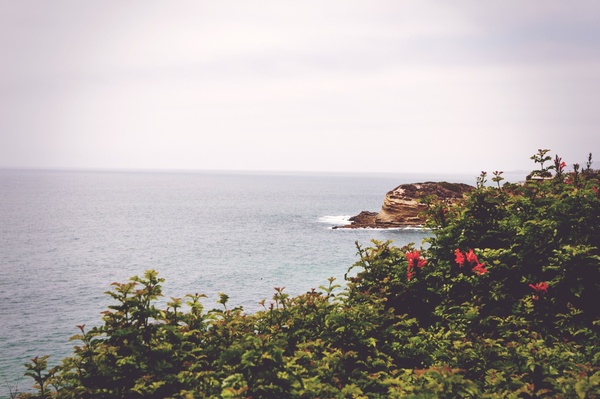 Beach sea coast water Photo