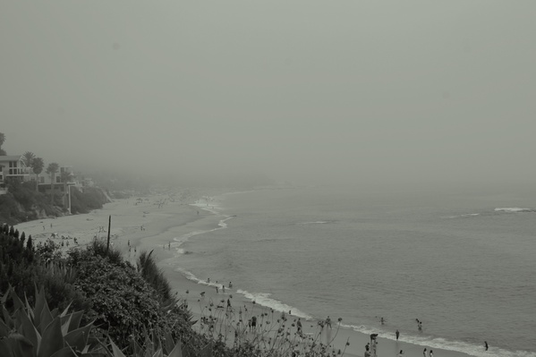 Beach sea coast ocean Photo