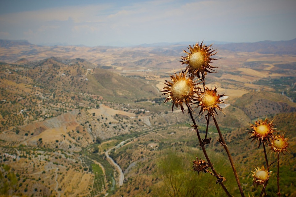 Paisagem natureza região selvagem
 montanha