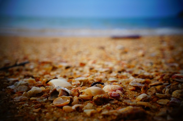 Beach sea nature sand Photo