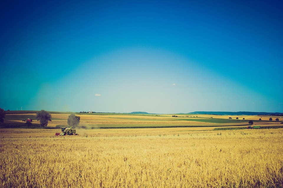 Landschaft horizont anlage himmel