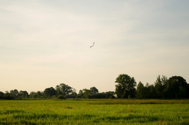 Landscape nature grass horizon Photo