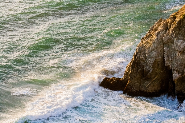 Beach sea coast water Photo