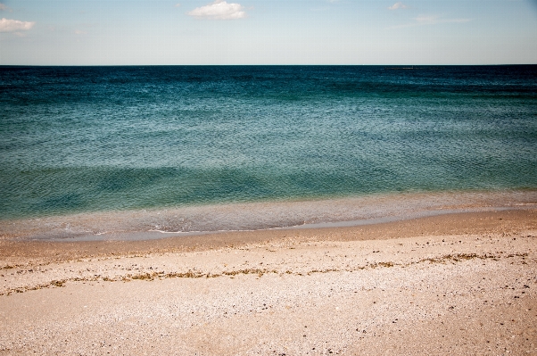 Beach sea coast water Photo