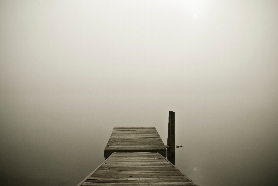 水 dock 光 多雾路段