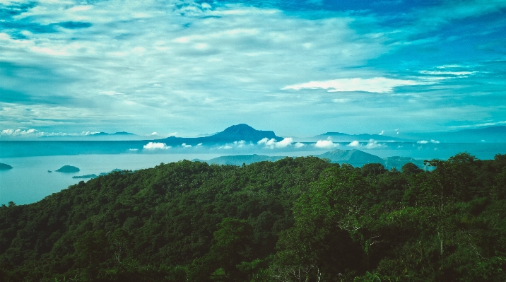 Foto Laut pesisir alam hutan