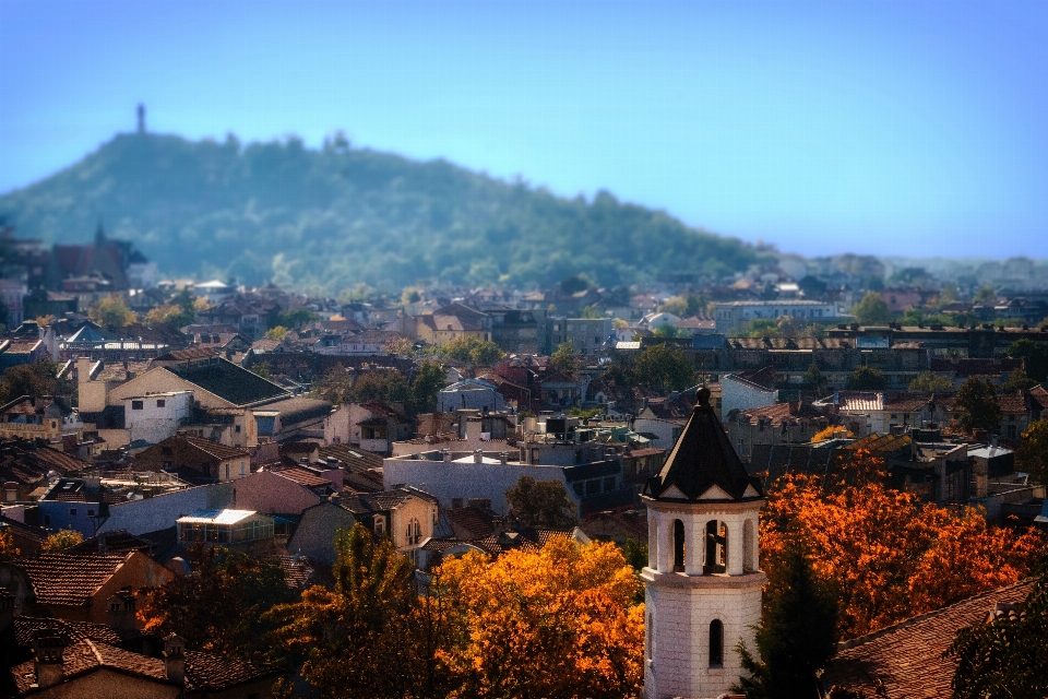 Paysage montagne matin colline