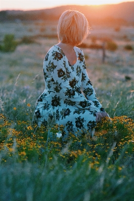 Nature grass plant woman Photo