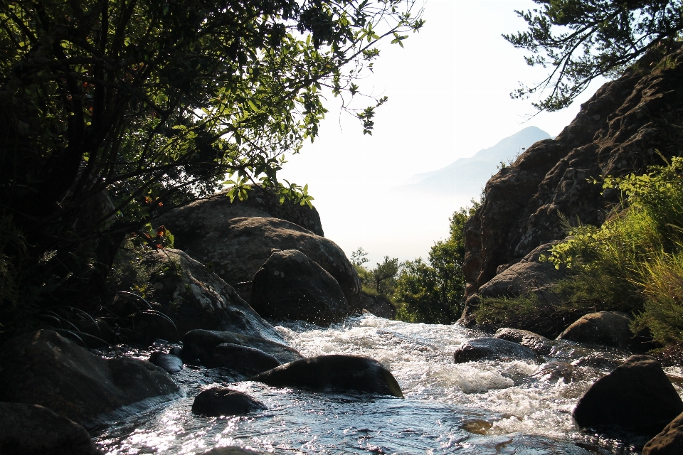 Alam hutan rock sungai kecil
