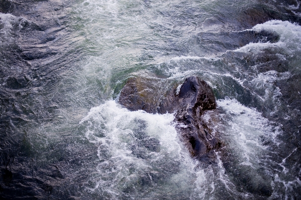 Sea water rock ocean Photo