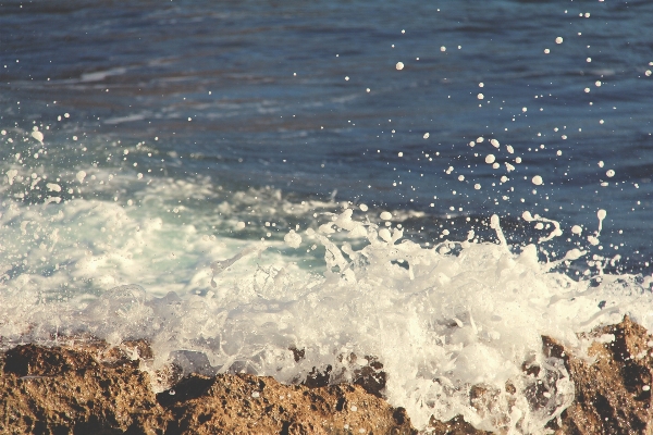 Strand meer küste wasser Foto