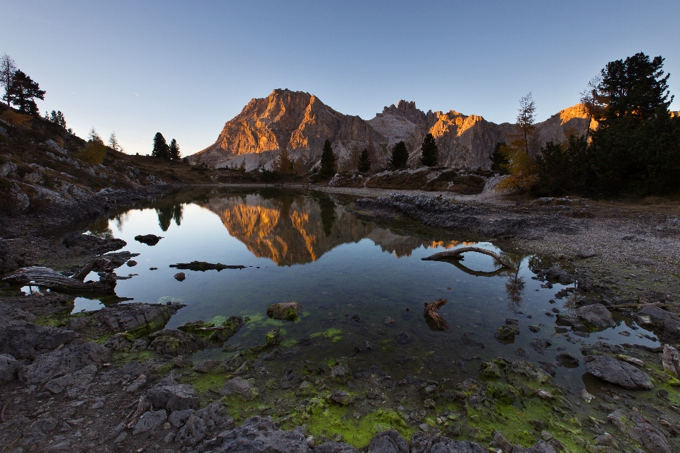 Paysage arbre eau nature