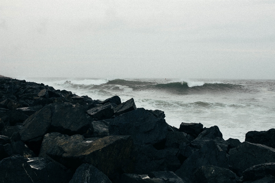 海滩 海 海岸 rock