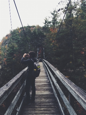 Nature track bridge photography Photo