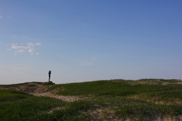 Landscape sea coast grass Photo