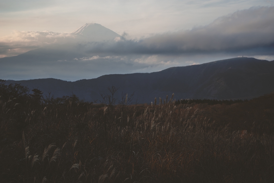 Landschaft natur draussen horizont