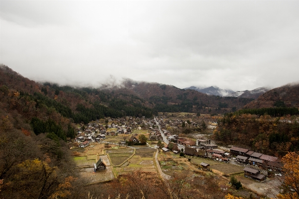 風景 山 秋 丘 写真