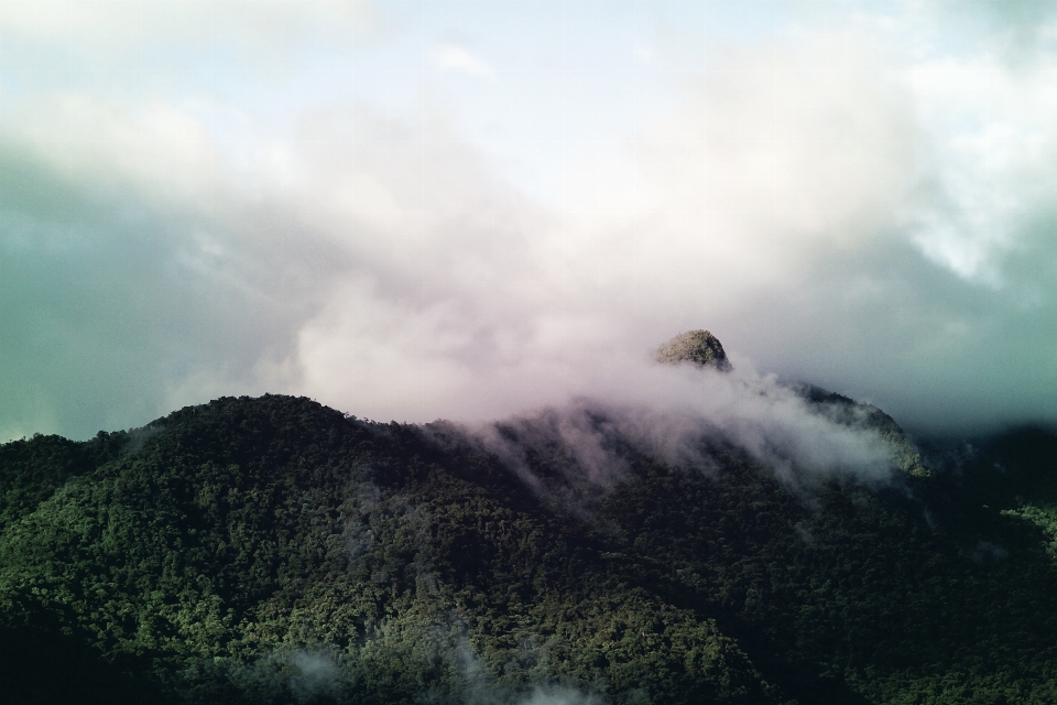 Sea nature forest mountain