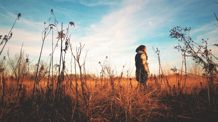 Tree nature grass horizon Photo