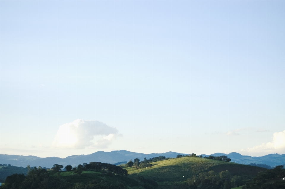 Landschaft baum natur horizont