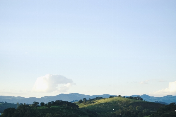 Landscape tree nature horizon Photo