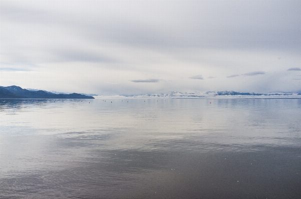 海 海岸 水 海洋 写真