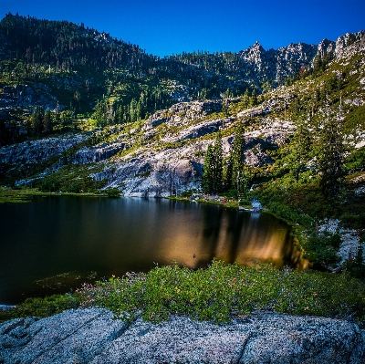 Landscape tree water nature Photo