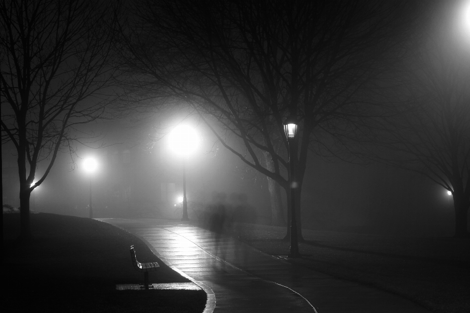 Schnee licht schwarz und weiß
 nebel