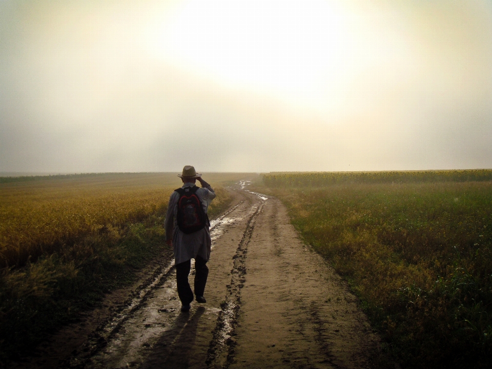 Landscape nature path outdoor