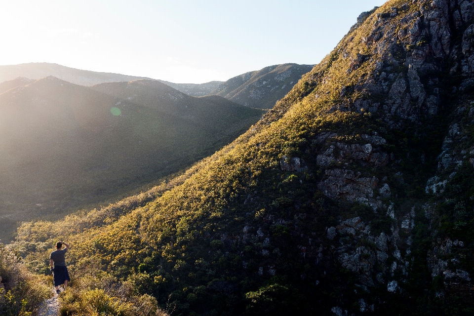 Landscape nature forest rock