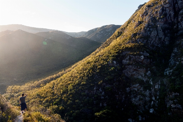 Landscape nature forest rock Photo