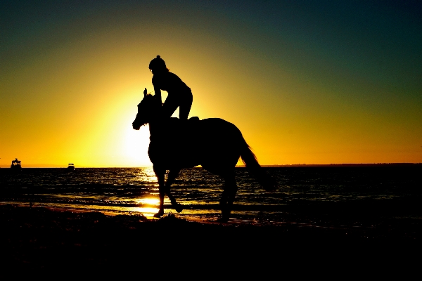 Beach sea silhouette sunrise Photo