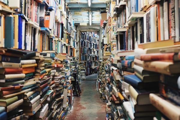 Book read building shelf Photo