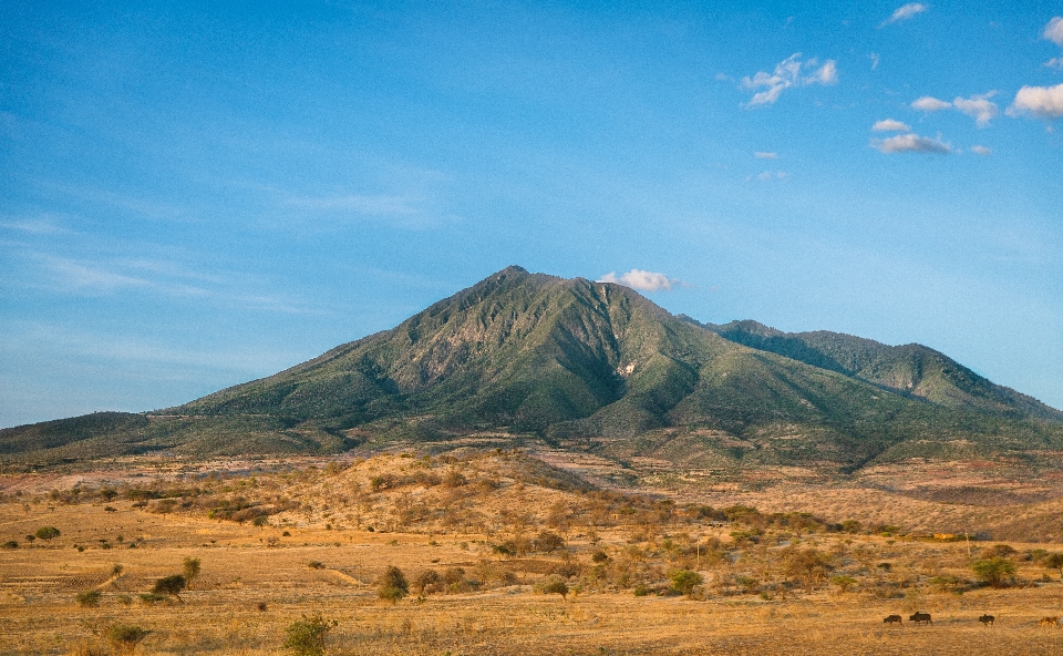 풍경 자연 황야
 산