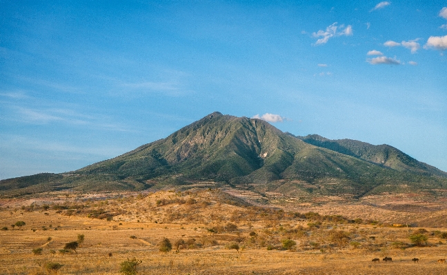 Foto Paesaggio natura selvaggia
 montagna