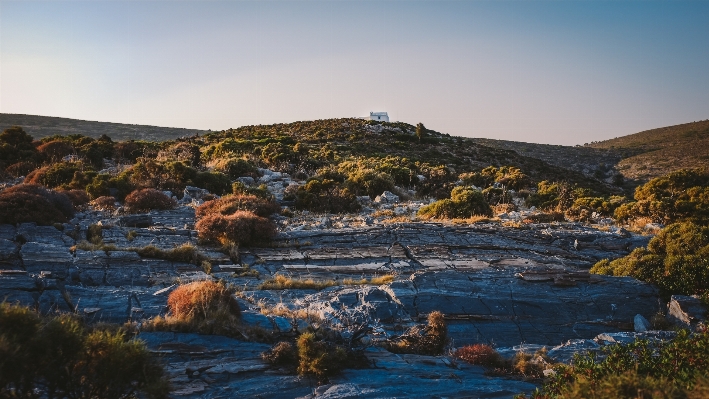 Landscape sea coast nature Photo