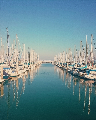 海 水 地平线 dock 照片