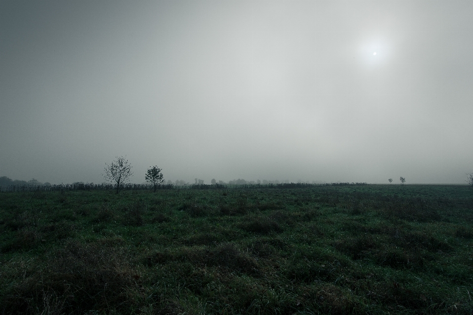 Paisagem natureza grama ar livre