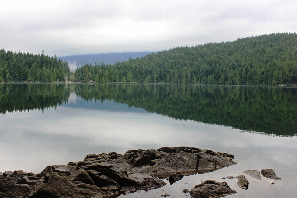 Krajobraz drzewo woda natura