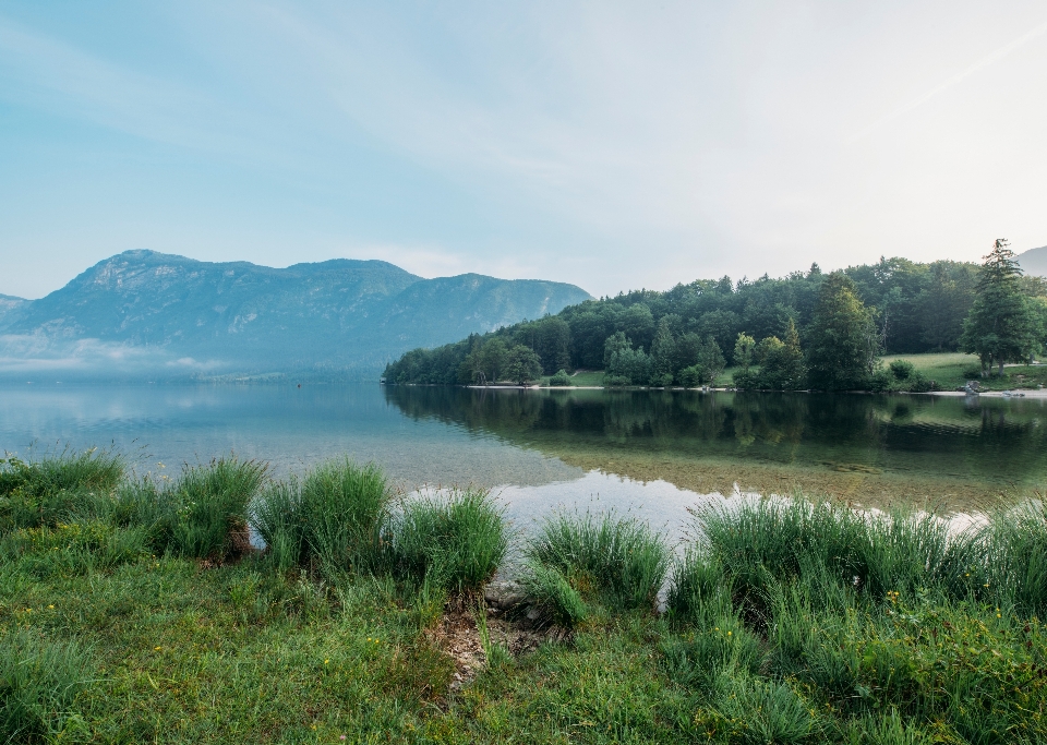 Paisagem árvore água região selvagem
