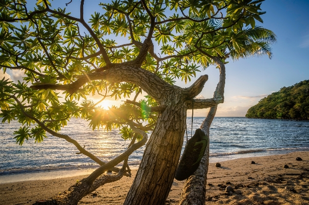 ビーチ 風景 海 海岸 写真