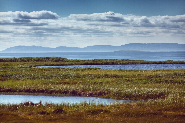 Landscape sea coast nature Photo