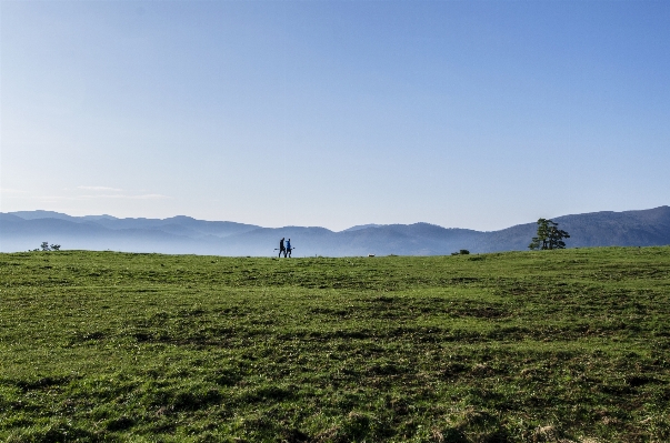 Landschaft natur gras draussen Foto