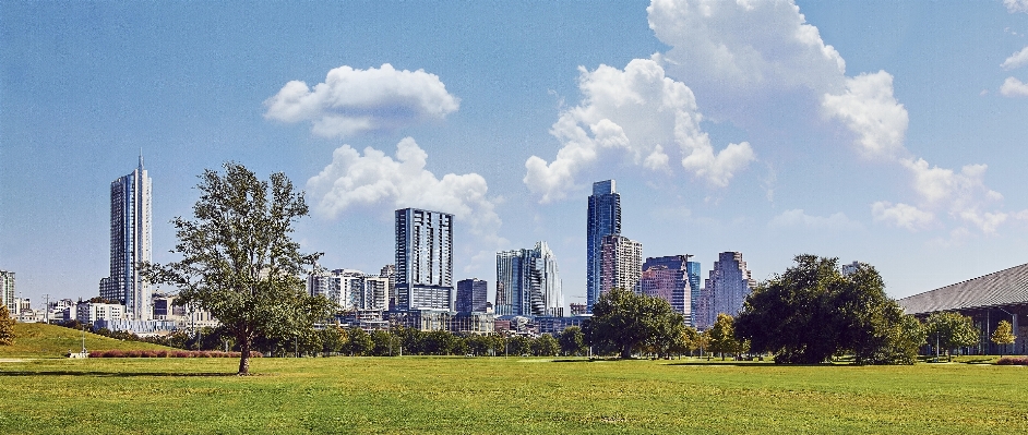 Tree grass horizon architecture Photo