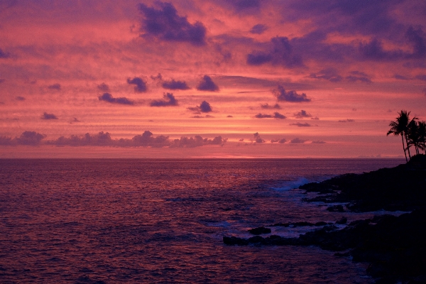 Beach sea coast ocean Photo