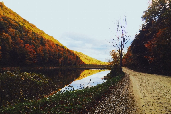 Landschaft baum wasser natur Foto